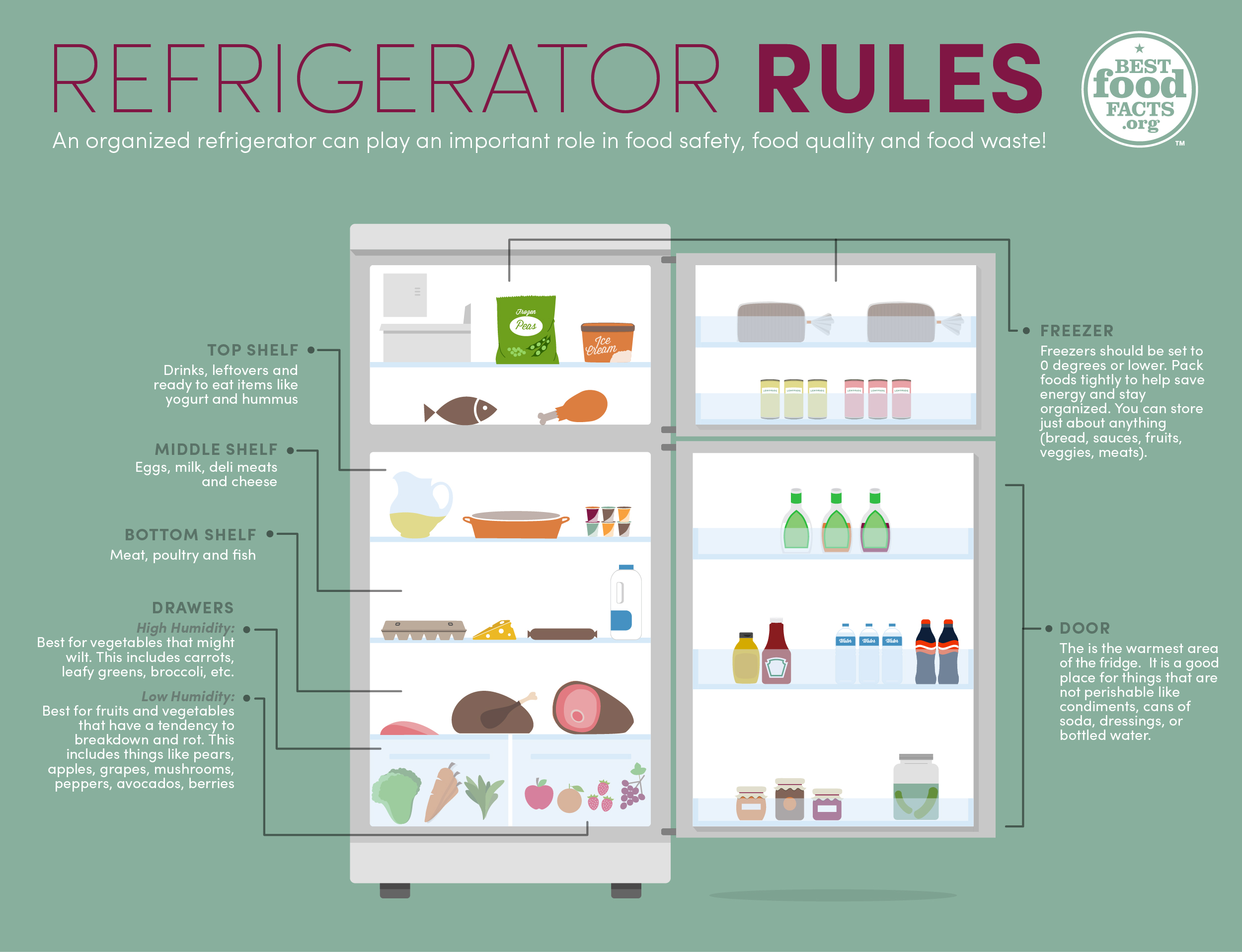 Keep Food Safe in the Refrigerator