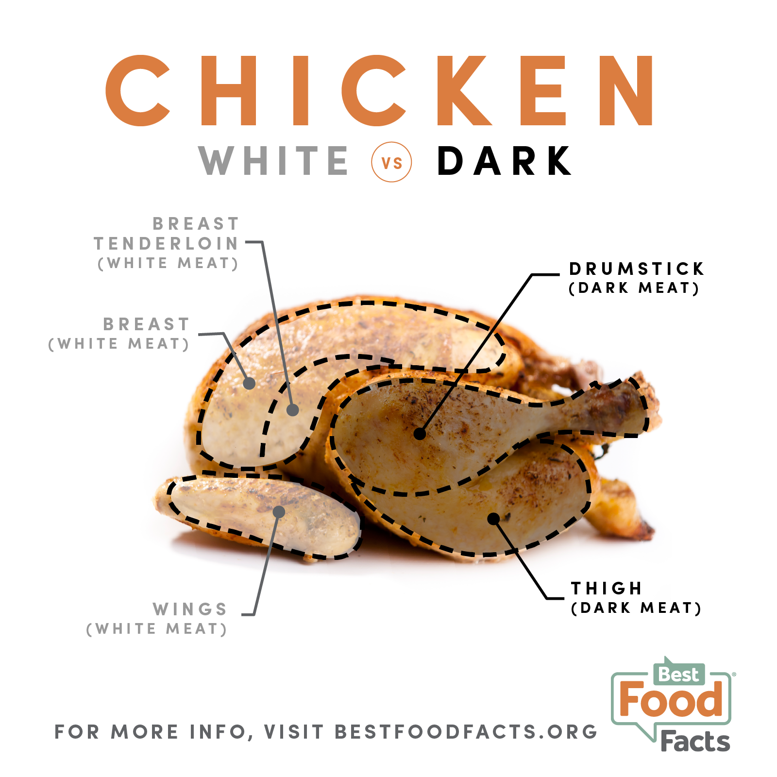 what causes the darker color of dark meat in chickens?