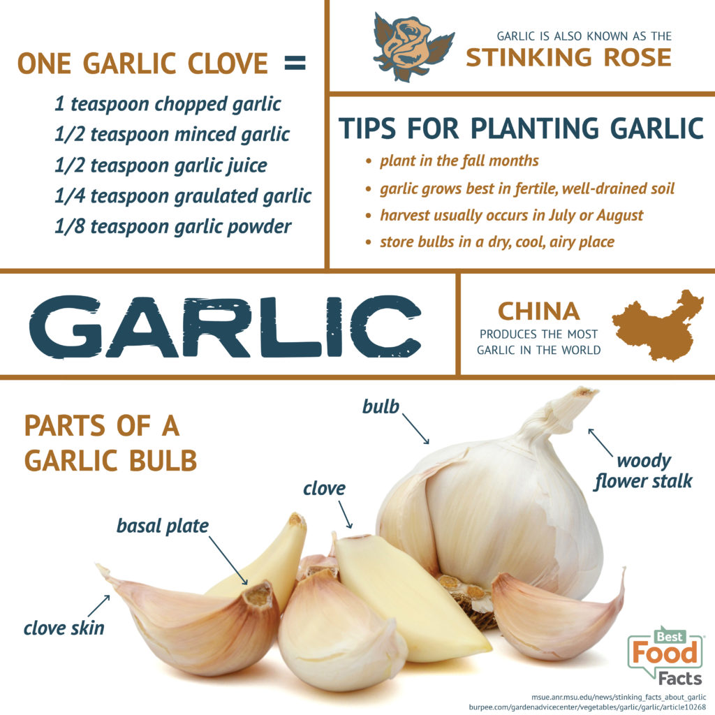 Does Garlic Have Health Benefits? | BestFoodFacts.org